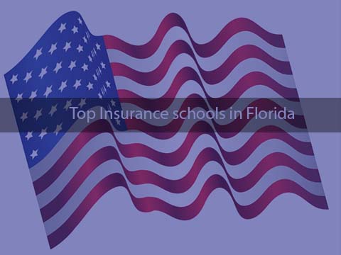 Top Insurance schools in Florida